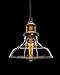 Lucia Lighting Pendant Ceiling Light Mid-Century Vintage Industrial Bronze Pendant Design with Clear Glass Shade; Masterpiece Lighting Fixture