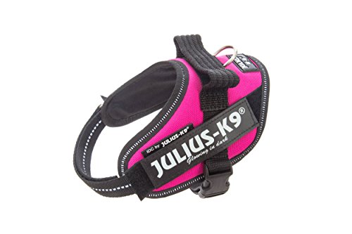 Julius-K9 16IDC-DPN-MM IDC Power Harness, Size: Mini-Mini (40-53cm/15.5-21"), Dark Pink