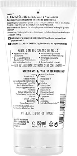 SANTE-Naturkosmetik-Glanz-Splung-Bio-Birkenblatt-Provitamin-B5-Intensive-Pflege-fr-weiches-Haar-Bewahrt-Spannkraft-Natrlicher-Conditioner-fr-seidigen-Glanz-Flle-Ohne-Silikon-Vegan-150ml