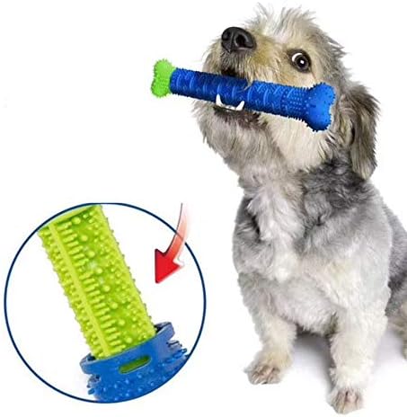 Jiarui 犬用歯ブラシ ペット用歯ブラシ 天然のラバー素材 犬歯ブラシハミガキ ペット口腔 Jiarui 犬用歯ブラシ ペット用歯ブラシ 天然のラバー素材 犬歯ブラシハミガキ ペット口腔