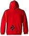 Angry Birds Boys' Little Bird Costume Hoodie, Red, Small/4