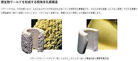 高い素材 パワーハウス j9q ソフトタイプ レッド Sサイズ 1l 新品本物 Centrodeladultomayor Com Uy