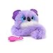 Pomsies Sydney Koala