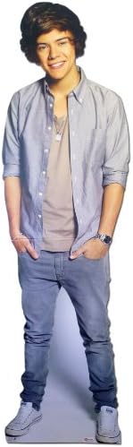 One Direction 'Harry' Brands Desktop Standee Cardboard