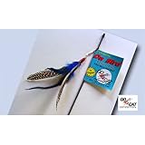 Go Cat Da Bird Single Pole Teaser on 36 inch Rod