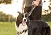 Leash Boss 3X - Two Handle Dog Leash with Extra Traffic Handle - Heavy Duty Double Padded Handle Lead for Walking and Training Large Dogs - Large Dog Leash for Control and Training