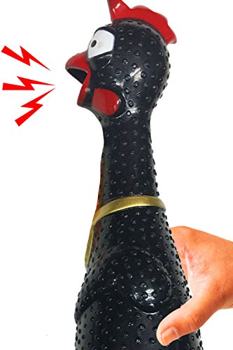 rubber chicken that makes noise
