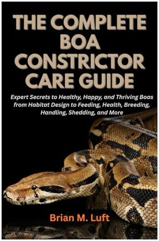 Boa Constrictors As Pets. Boa Constrictor Comprehensive Owners