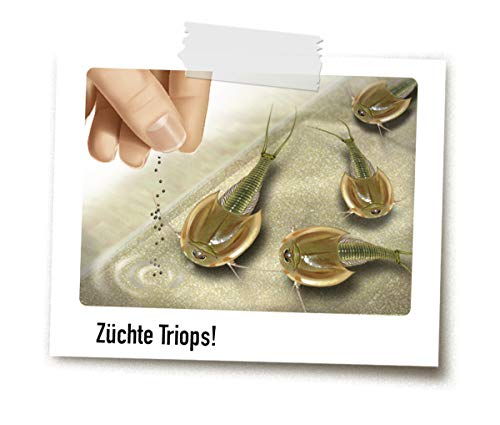 Ravensburger 18906 ScienceX Wow Triops und Dinosaurier – Bild 6