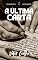 Livro A Última Carta (Caminhantes do Entremundo Livro 3)