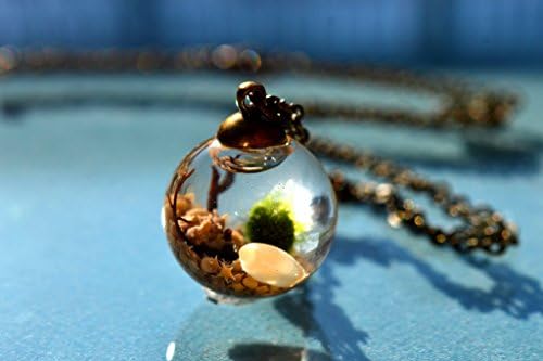 A Thousand Wishes Live Marimo Moss Ball Terrarium Necklace // 101 % Natural Sand from Japan // Sealed Orb