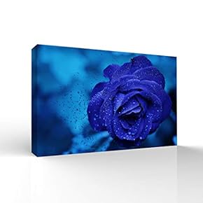 Beautiful Flowers Pictures Home Wall for Bedroom Living...