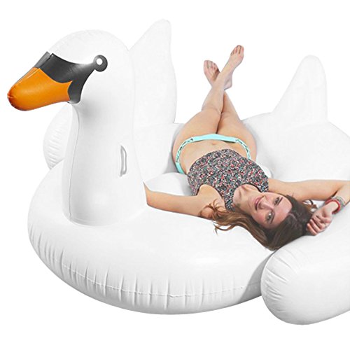 novelty inflatable pool toys