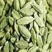 Indus Organics Green Cardamom (Pods), 8 Oz Jar, Super Jumbo Grade, Hand Picked, Freshly Packed