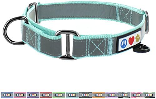 Pawtitas Martingale Dog Collar Puppy Collar Reflective Dog Collar Training Dog Collar Behavioral Dog Collar Large Dog Collar Teal Dog Collar