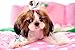 PET SHOW Cute 1