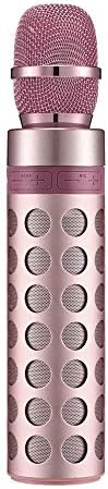 Wireless Microphone Amplifier Handheld Microphone With Karaoke Voice Speaker
