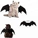 Halloween Pet Bat Wings Cat Dog Bat Costume Pet Dog Bat Wings