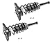 Prime Choice Auto Parts CST100139PR Rear Strut Assembly Pair