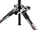 Manfrotto MKBFRC4-BH Befree Carbon Fiber Tripod with Ball Head (Black)