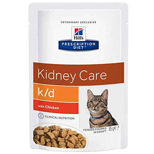 hills kidney care cat