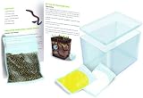 Funtime Gifts PL7160 My World Worm Garden Tank educational kit 19.5x10.8x8.8 cm view 3