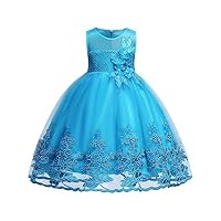 Lake Blue Girl Sequins Beading Lace Ball Gown Dress Wedding Party Formal Size 12M 18M 24M Flower Dresses Girls Special Occasion Fancy 2-3 Years Princess Summer Knee Sleeveless Blue 100
