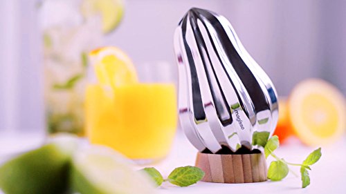 Magisso Bulb Citrus Reamer #70308 Stainless Steel with Bamboo Stand