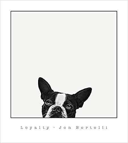 Image Conscious Loyalty by Jon Bertelli 15"x15" Art Print Poster