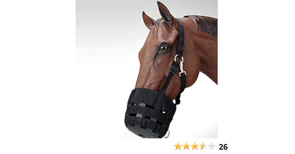 parvo medicine at petsmart