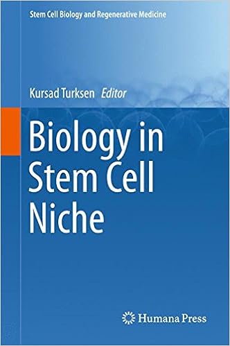 ebook Numerische Methoden in der Berechnung elektromagnetischer Felder 1994