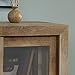 Sauder Dakota Pass Display Cabinet/Pantry cabinets, Craftsman Oak finish
