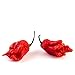 Carolina Reaper Seeds by Pepper Joe's - Pepper AKA HP22B | Hottest Pepper in The World - 10+ Chili Seeds Per Pack primary