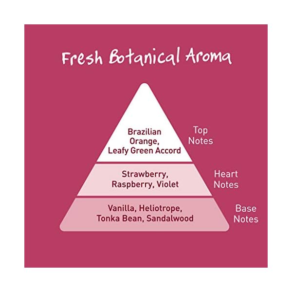 Salt Of the Earth Natural Deodorant Spray, Vegan, Long Lasting Protection, Leaping Bunny Approved, Made in the UK, Sweet…