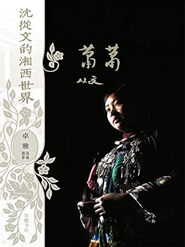 Download ???????????? (Chinese Edition) PDF