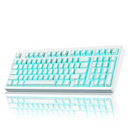 ZORNHER ZH980 Wireless Mechanical Keyboard with Number Pad