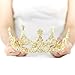 Unicra Gold Vintage Tiaras and Crowns Wedding Bridal Headbands Queen Crowns for Women and Girls