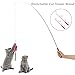 GDPet 10 Piece Including Cat Teaser Wand Interactive Feather Toy Fluffy Mouse Mylar Crinkle Balls Catnip Pillow for Kitten/Kitty