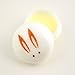 Bunny Solid Perfume (Daphne) : Kyoto Bath & Body !! [Health and Beauty]