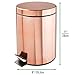mDesign Small Modern 5 Liter / 1.3 Gallon Round Metal Lidded Step Trash Can, Compact Garbage Bin with Removable Liner Bucket and Handle for Bathroom, Kitchen, Craft Room, Office, Garage - Rose Gold