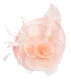 AM CLOTHES Womens Feather and Mesh Fascinator Headwear
