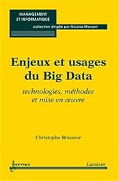 Enjeux et usages du big data