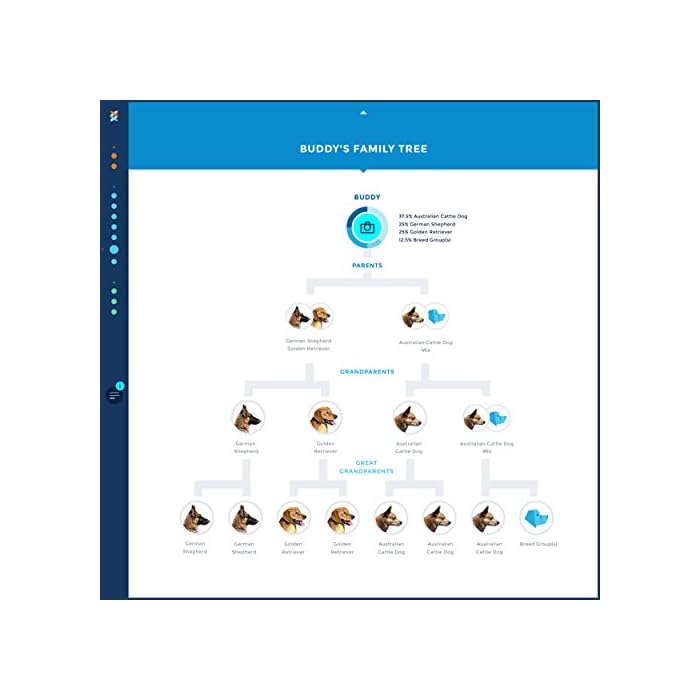 wisdom panel discount