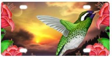 Hummingbird License Plate-12" X 6" inches