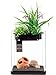 Nanoponic Aquarium W/Planted Top 3Gal, Blackthumb 1