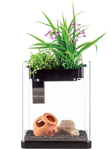 Nanoponic Aquarium W/Planted Top 3Gal, Black