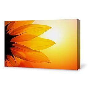 Canvas Wall Art for Living Room,Bedroom Home Artwork Paintings Close-up of Flower Ready to Hang - 12x18 inches