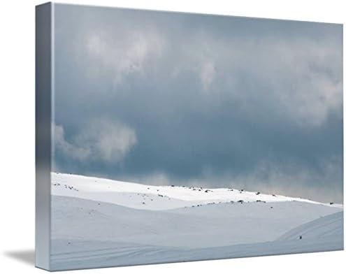 Amazon Com Arte De La Pared Impresion Titulada Snowfield Utah