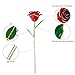 ABEDOE Long Stem 24k Gold Rose Flower in Box, Best Romantic Gift for Anniversary, Thanks Giving Day, Valentine’s Day, Mother's Day, Birthday Gift (Red)
