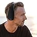 Leme EB30A Wireless Ergonomic Bluetooth 4.1 Over Ear Headphone with Built-in Mic and 12 Hour Battery, with Noise Reduction and Echo Cancellation, Perfect Headset for Gaming and Music (Black) (Black)